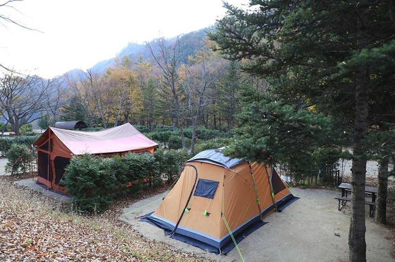 금대자동차야영장(치악산국립공원) 대표 사진
