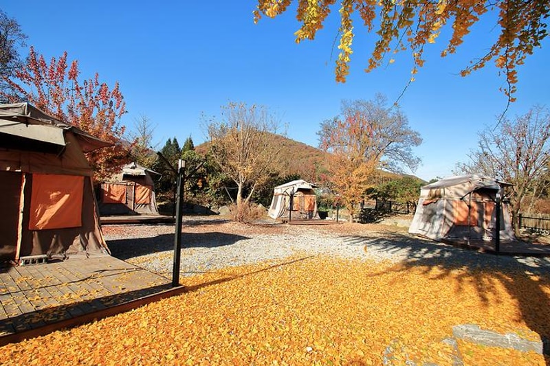 마루노리 대표 사진