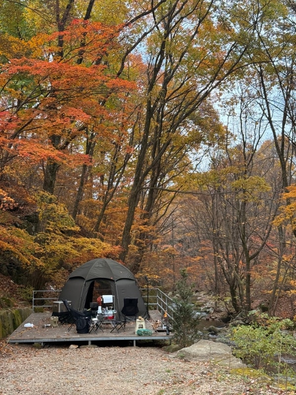 [2025.8] 평창 마루지캠프