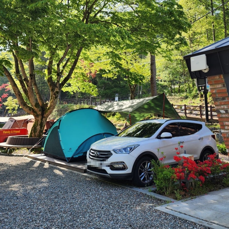 전북 임실 오토 캠핑장 성수산 왕의숲 국민여가캠핑장 후기...