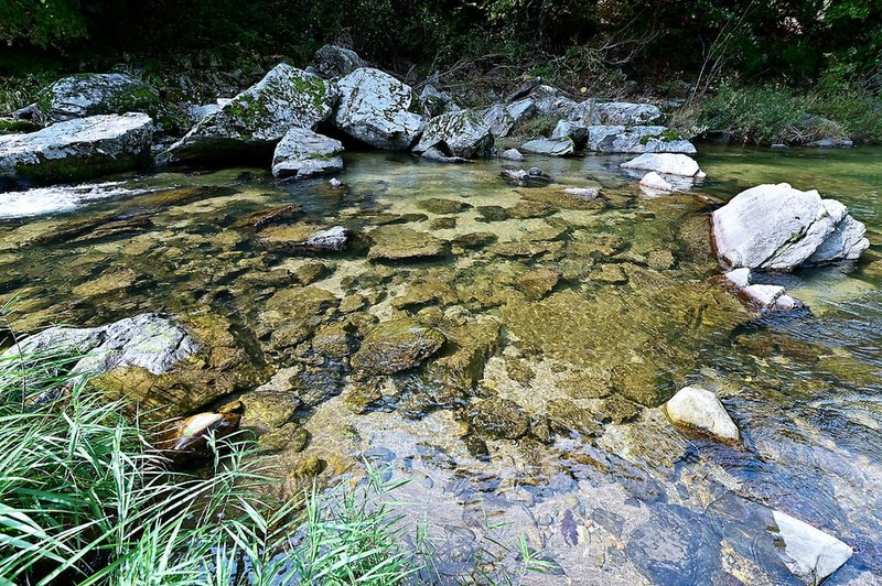 캠핑소리251 시설 사진 14