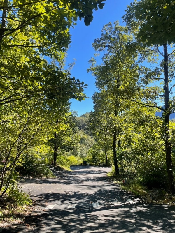 춘천 | ‘춘천 더숲캠핑장’ C1에서 2박 3일 힐링캠프