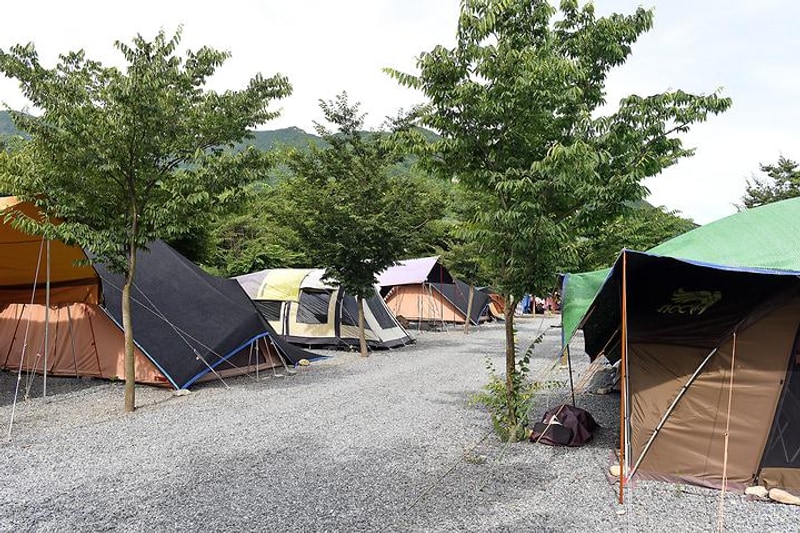 초록슈피아오토캠핑장 대표 사진