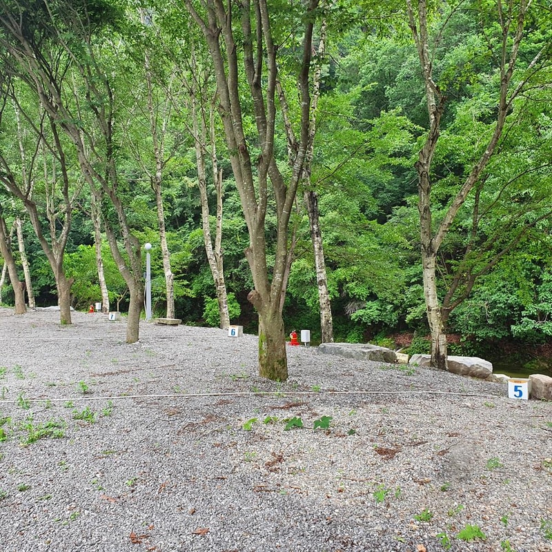 강원 홍천 알프스밸리 캠핑나라 글램독 시설 사진 16