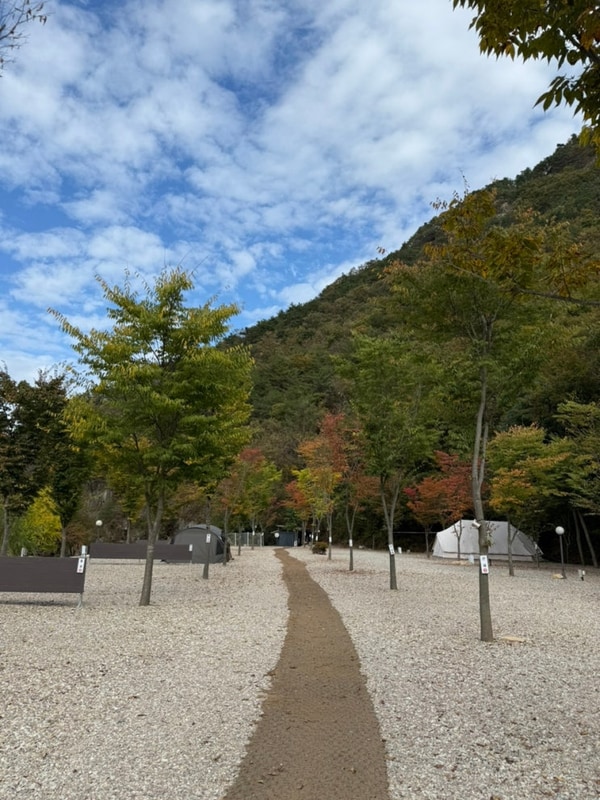 완주 신월리 오토 캠핑장 세번째 ‘바람을 곁들인’