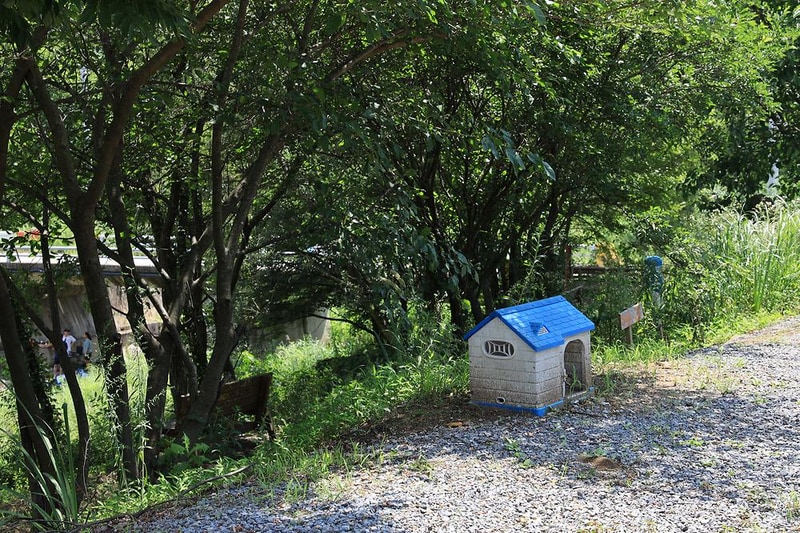 슬로우캠프 시설 사진 10