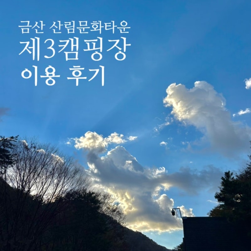 함께 숲속 캠핑! 금산산림문화타운 야영장 실제 이용 후기✨
