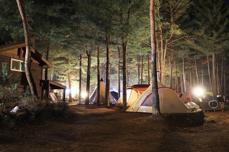 아트인아일랜드 대표 사진