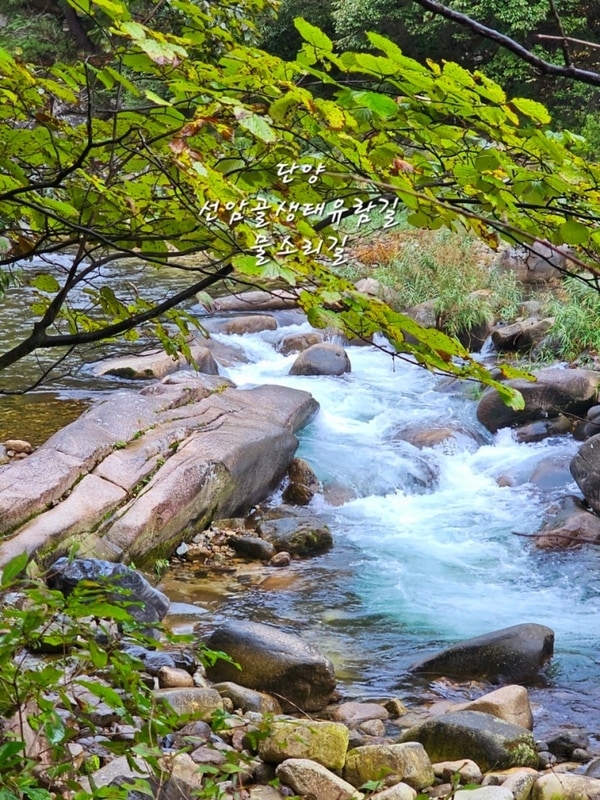 물소리길 단양팔경 가볼만한곳 상선암 소선암오토캠핑장
