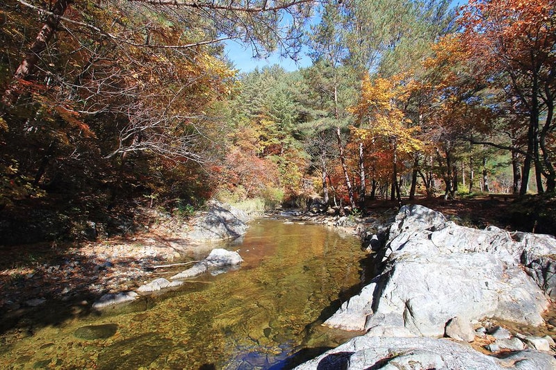 금강송 체험 야영장 시설 사진 5