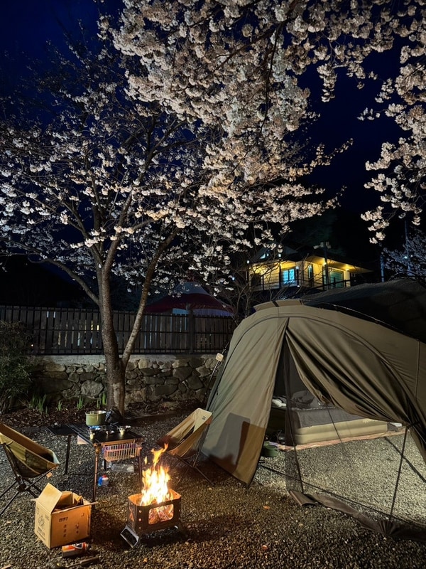 [캠핑/ 밀양] 벚꽃캠핑 in 캠앤캠아지트