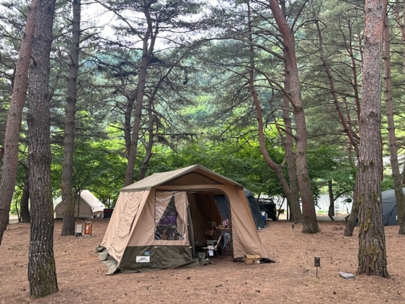 [평창] 진부관광농원 캠핑장 / 노지5사이트/ 삼양라운드힐