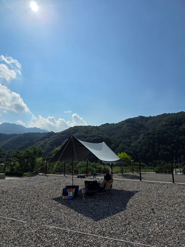 가평 애견동반 캠핑장 추천 포레스트 소울 힐링하기 좋은 가평...