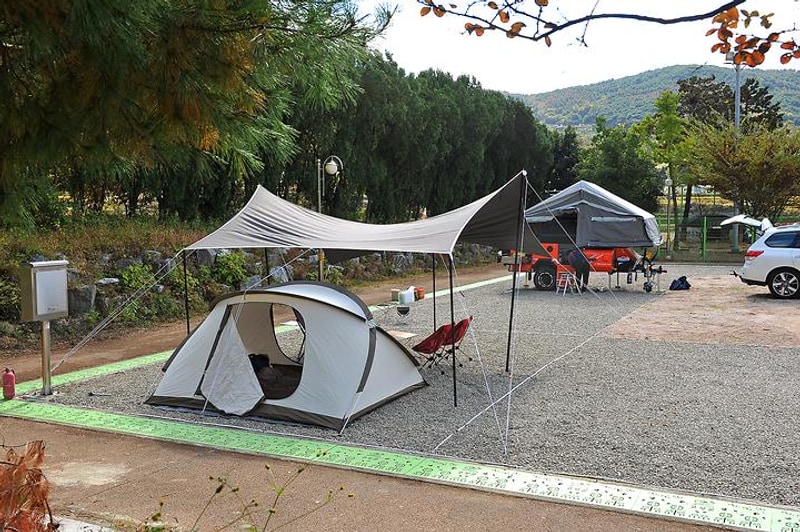 청광새들녘캠핑 대표 사진