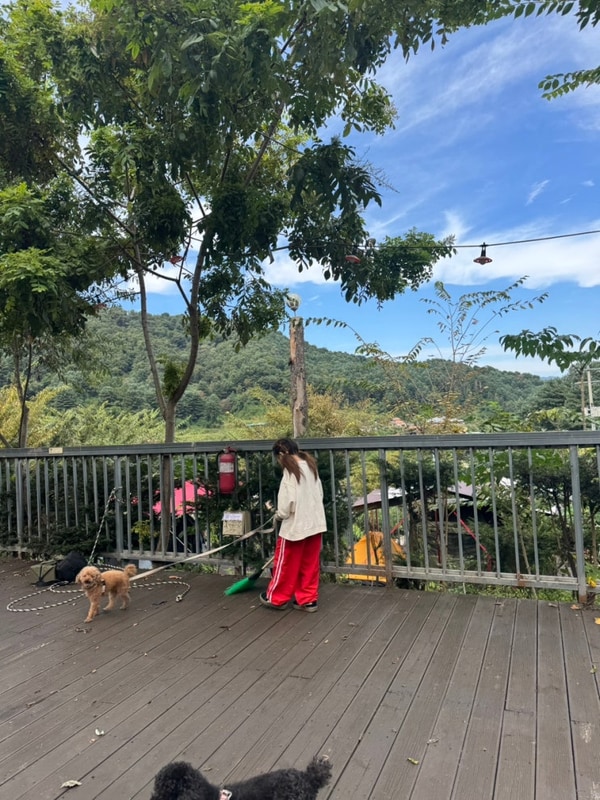 가평 무릉도원 캠핑장 방문기,애견동반,팁,이용정보등