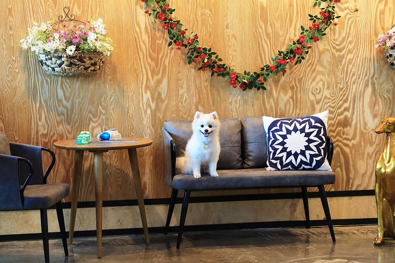 물동네 힐링 야영장 시설 사진 21