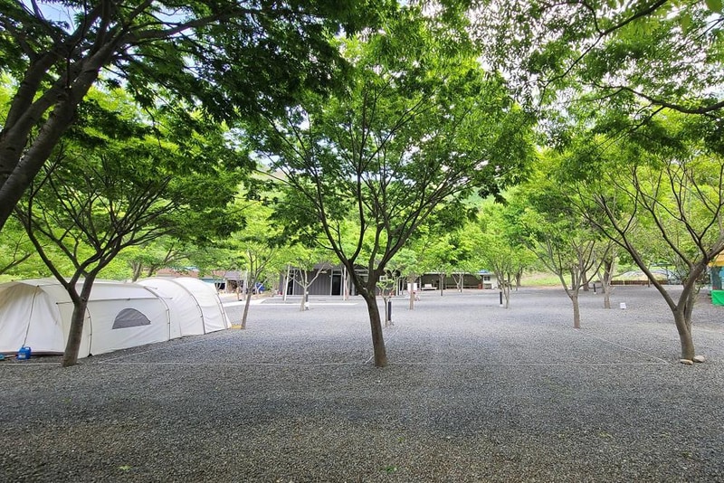 알프스캠핑 시설 사진 2