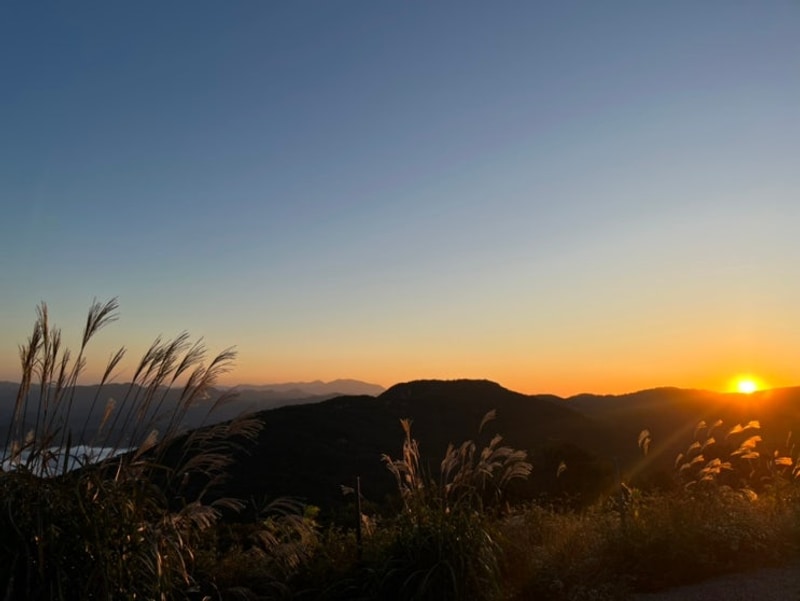 스테이 700 캠핑장