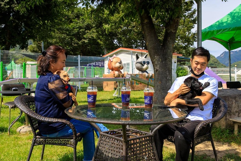 젠틀펫 파라다이스 시설 사진 7