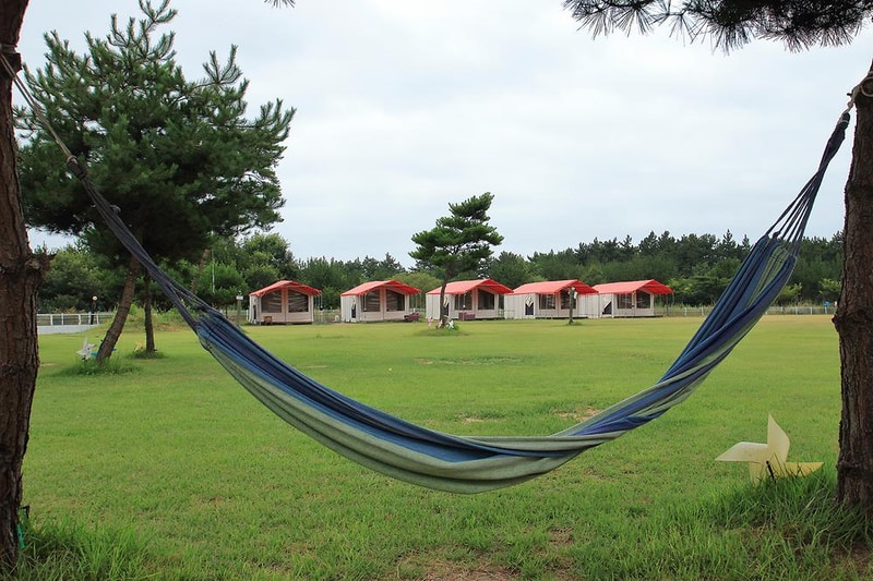 파라독스 애견펜션 / 돔글램핑&오토캠핑장 시설 사진 11