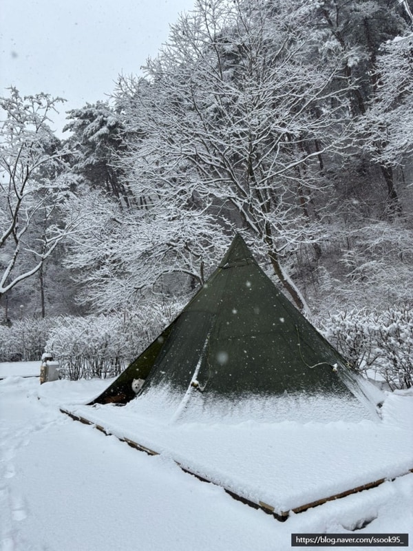 충청도 애견동반 저렴한 캠핑장 추천 / 제천 용두산 오토캠핑장