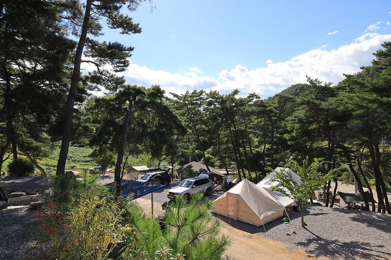 영월한반도캠핑장 시설 사진 4