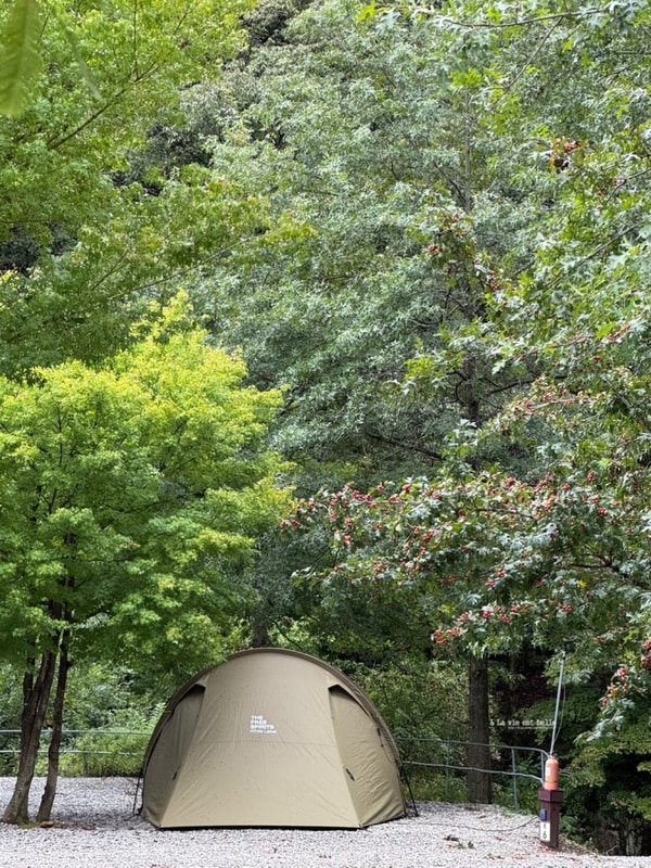 아홉번째 캠핑 기록 ㅣ문경 리우캠핑장