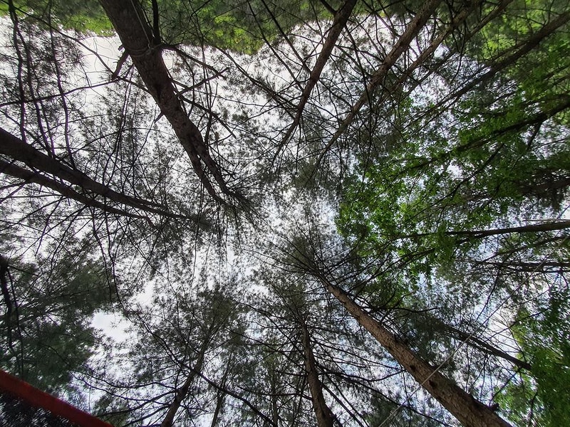 단양 천동계곡 캠핑장 그린농원 시설 사진 34