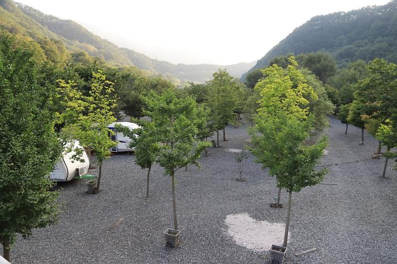 산솔오토캠핑장 대표 사진