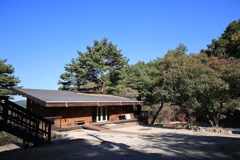 숲속행성 시설 사진 7