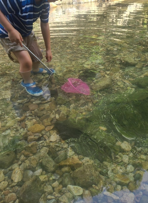 구미 금오산도립공원야영장 무료 캠핑장 예약방법 주차장