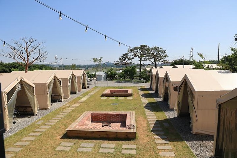 안석관광농원 대표 사진