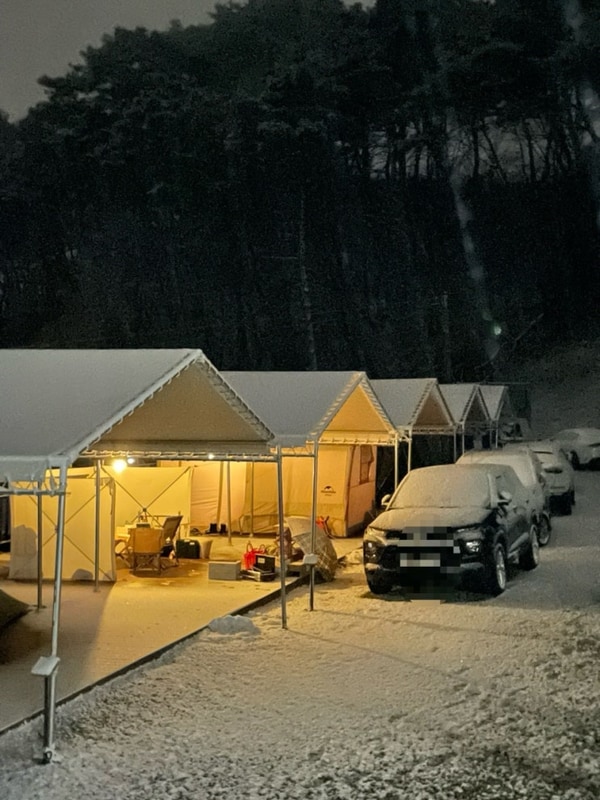 새말캠핑장C 사이트 후기, 애견동반 캠핑장, 강원도 뷰좋은...