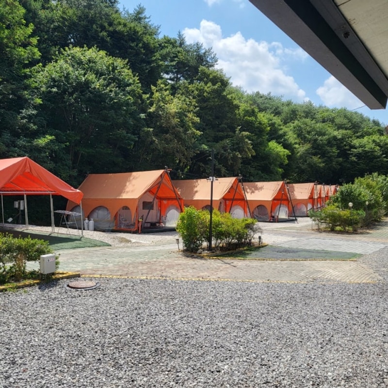 포천 글램핑앤카라반 여름휴가, 주차, 반려동물 동반 250804