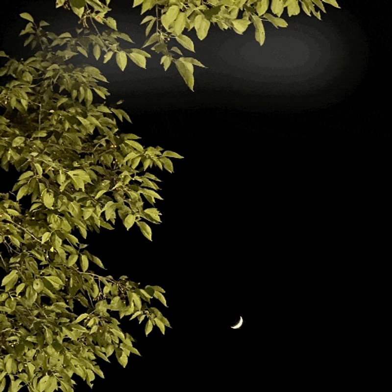 온수풀이 있는 가평 수영장 캠핑장 - 김원장 캠핑 단점,장점