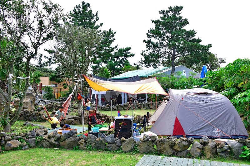 비체올린 시설 사진 6