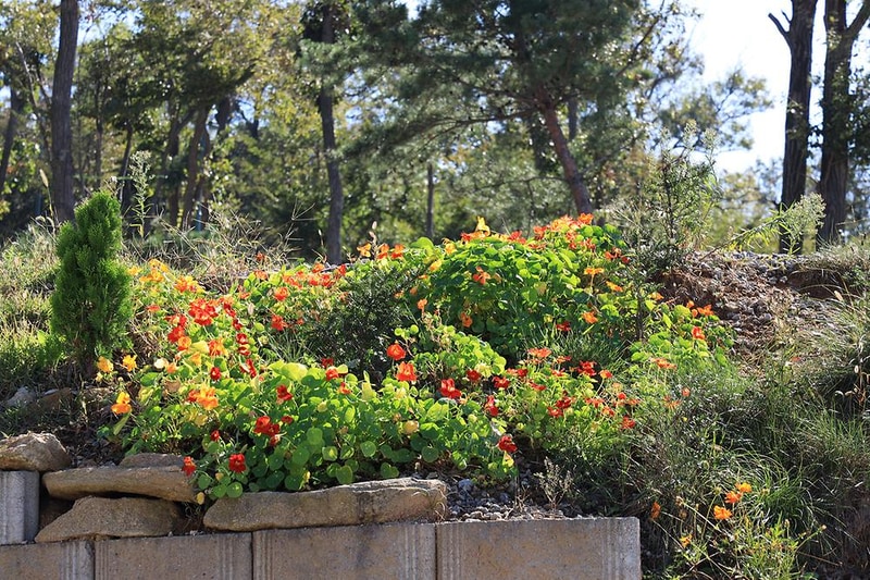 검디 관광농원 야영장 시설 사진 7