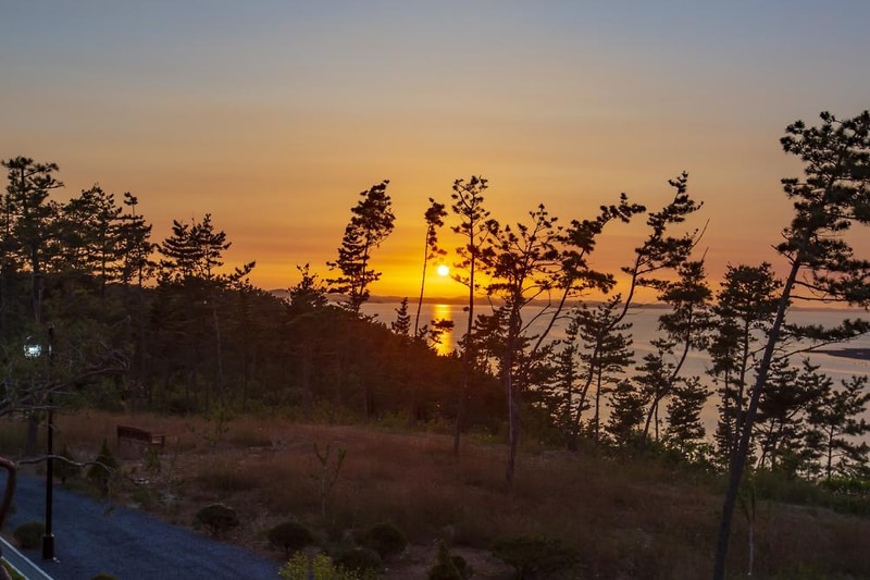 더반 힐 글램핑 시설 사진 16