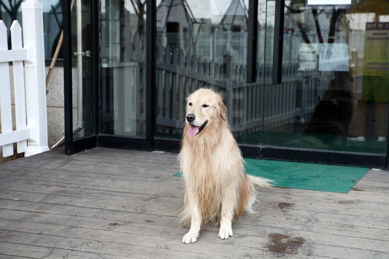 MK골드캠프 시설 사진 4