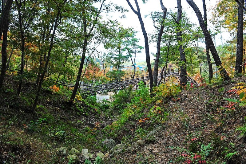 입화산 참살이숲 제2오토야영장 시설 사진 6