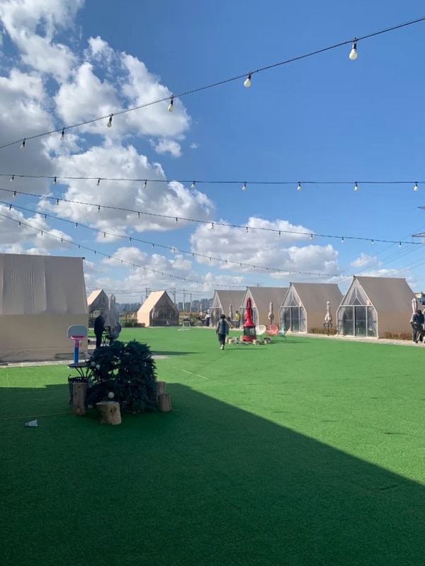 모닥모닥 평택 애견동반 바베큐장 글램핑 내돈내산 추천 후기