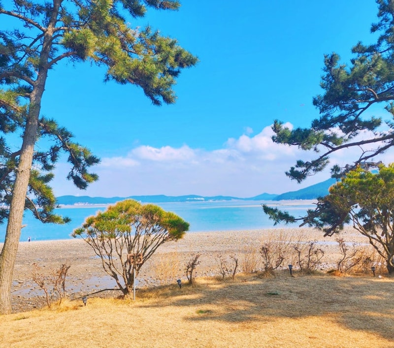 서산 벌천포캠핑장 잔디밭구역 D6 후기