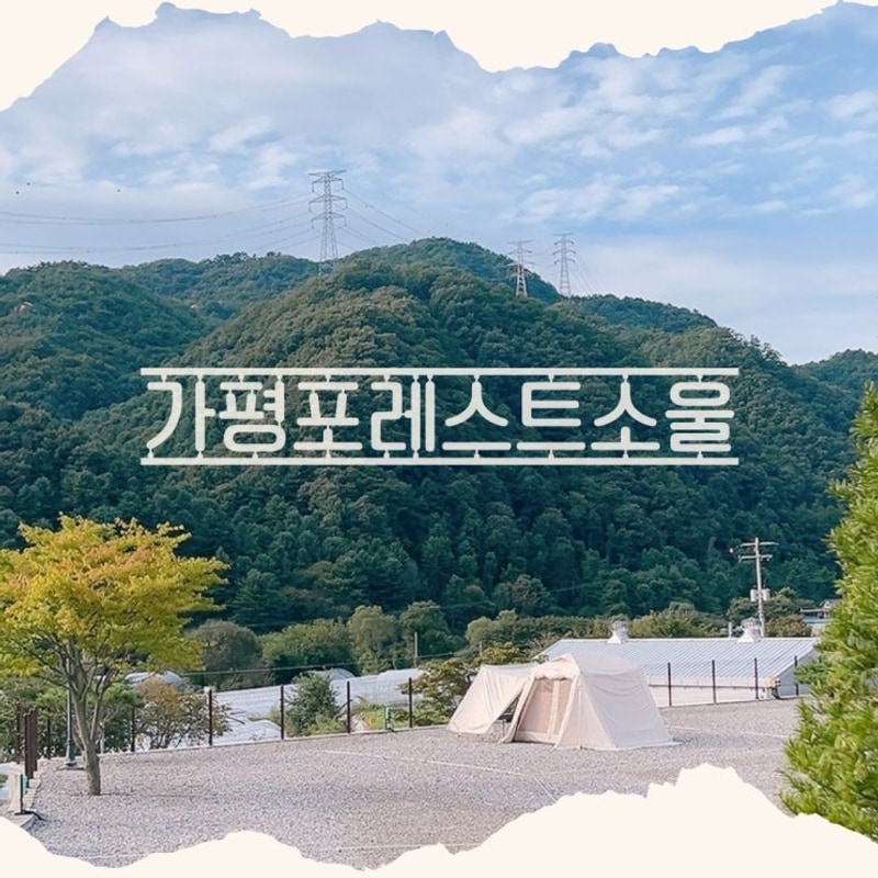 ️가평 '포레스트소울'캠핑장 1탄 : 솔캠&2인캠을 위한 캠핑장...