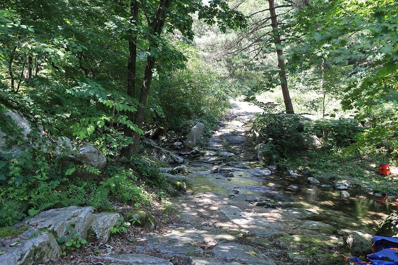 광덕그린농원 야영장 시설 사진 11