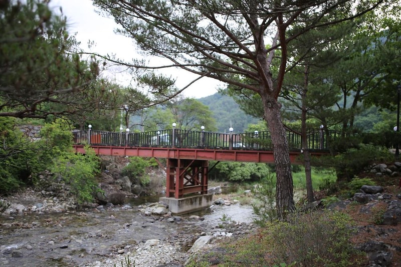 캠프 우든브릿지 시설 사진 10