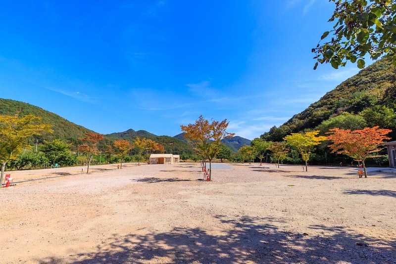 돌고래 오토 캠핑장 시설 사진 11