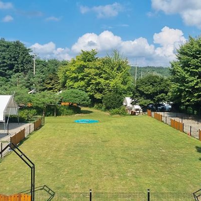 민트초코캠핑장