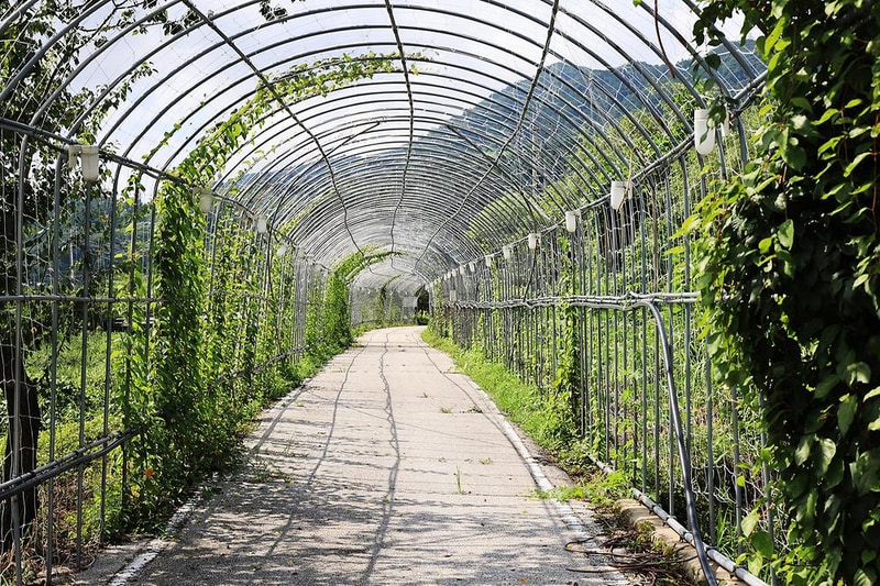 파인벨리펜션 글램핑 2호점 시설 사진 6