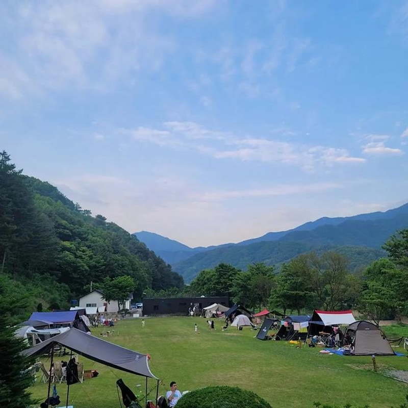 캠프99 대표 사진