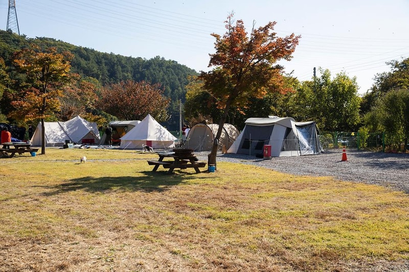 은하수 캠핑장 시설 사진 14